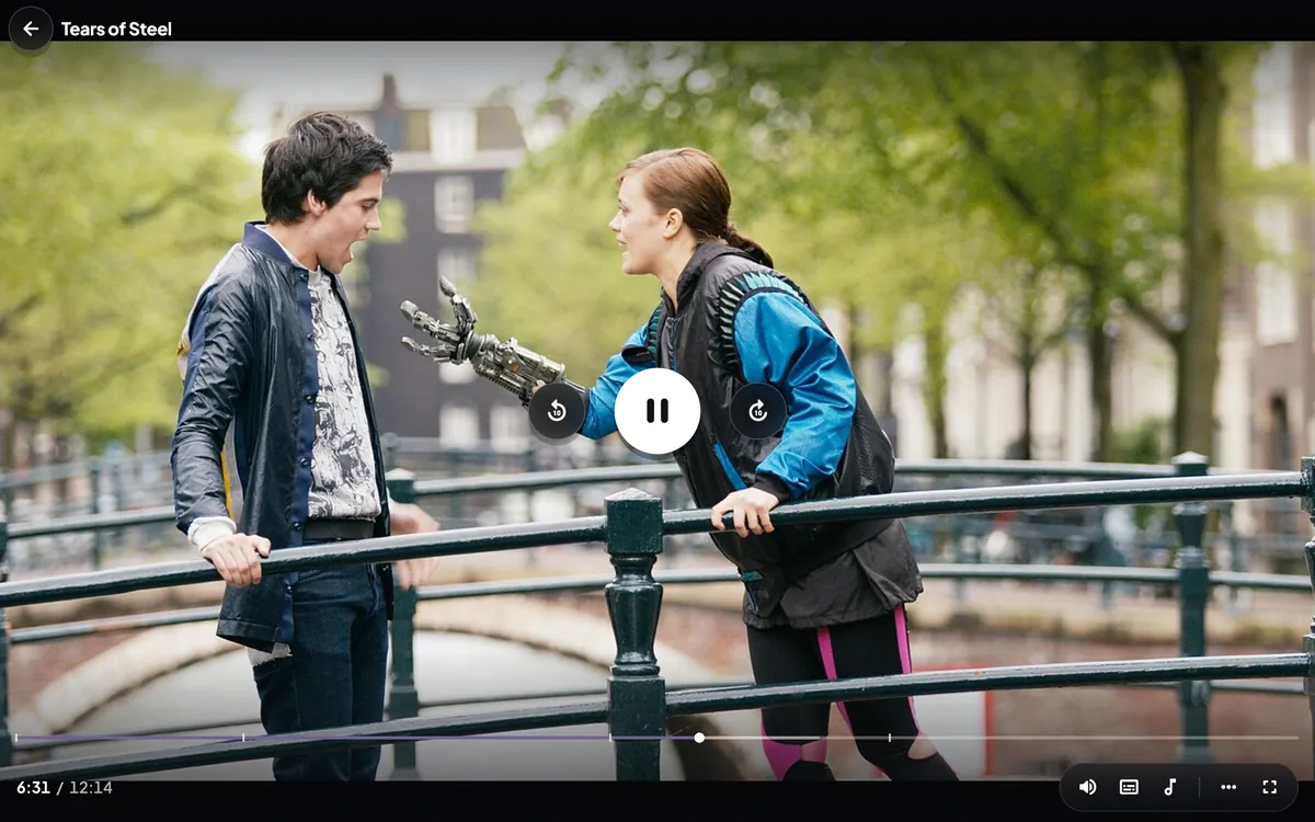Player controls: progress, volume, subtitles, audio track, and full screen